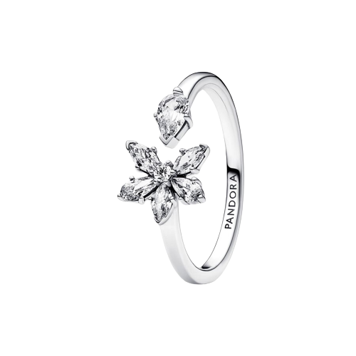 Anillo abierto Herbario Brillante