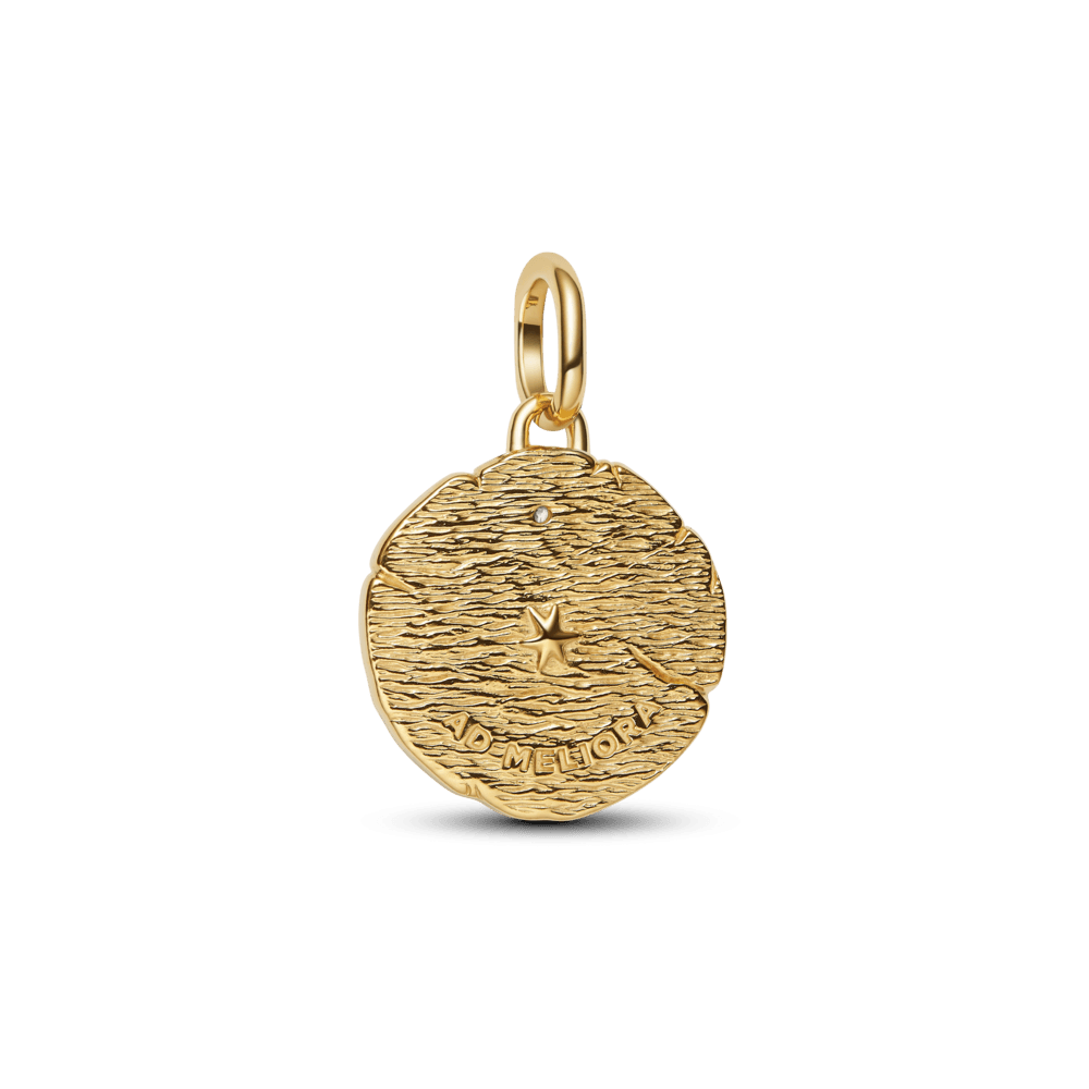 Charm Medallón Flechas Cruzadas