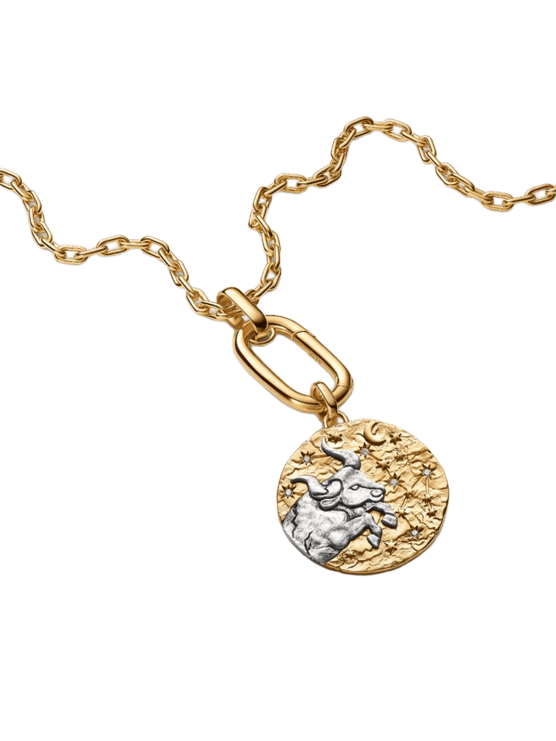 Charm Medallón XL Zodiaco Tauro