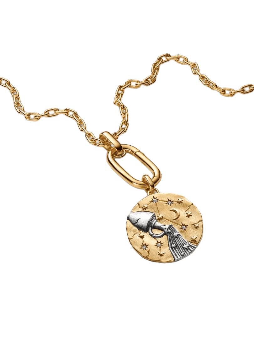 Charm Medallón XL Zodiaco Acuario