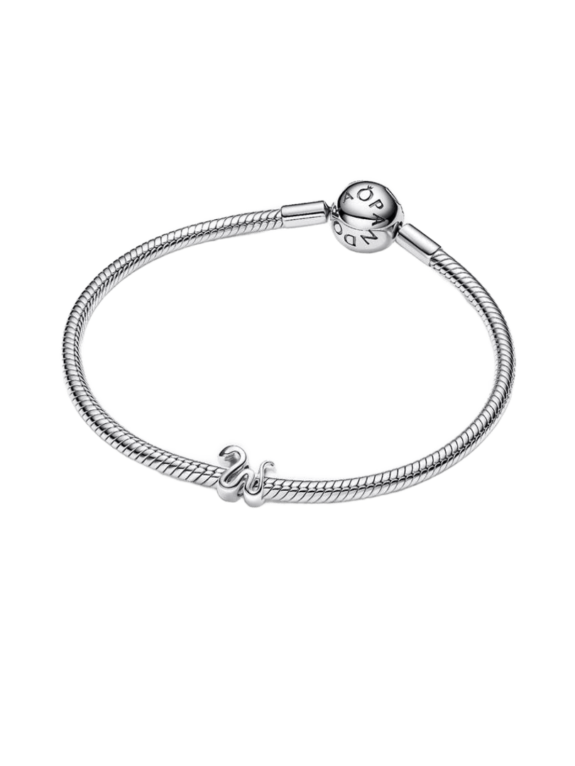 Charm Mini Serpiente
