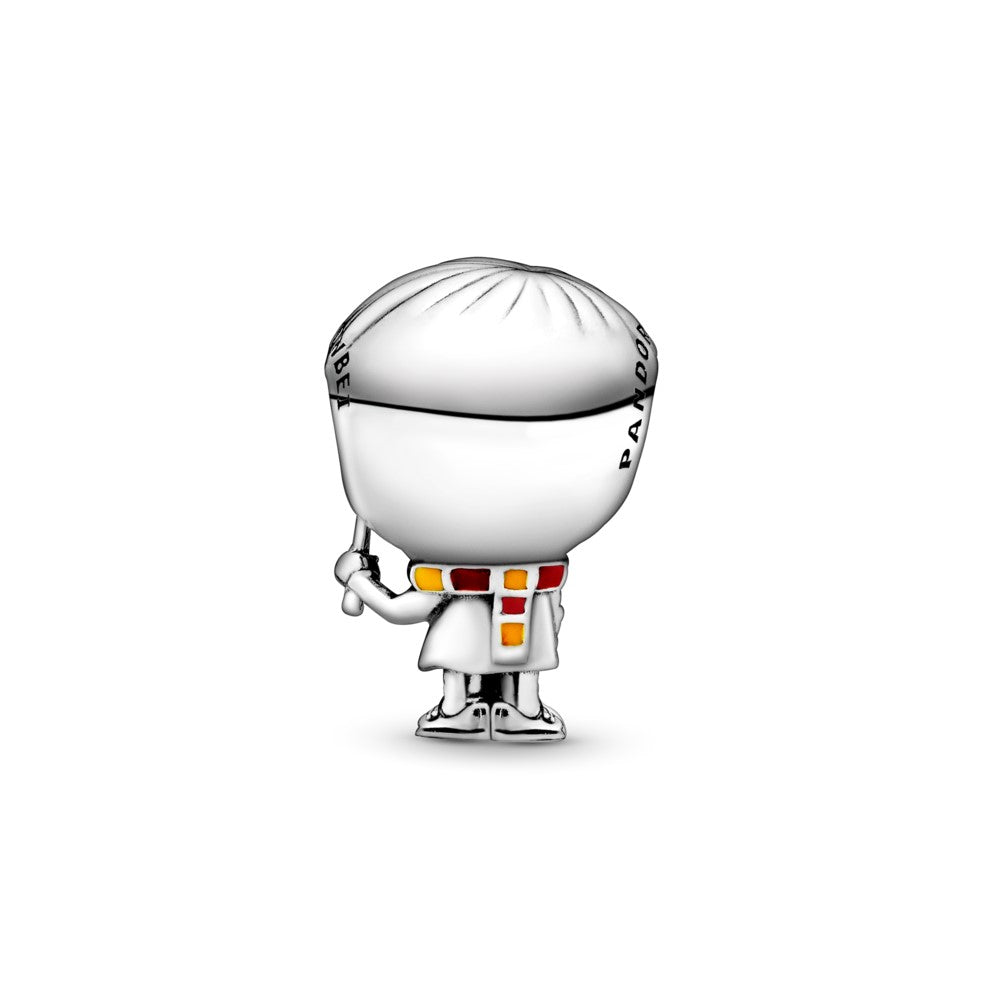 Harry Potter, Charm de Harry Potter