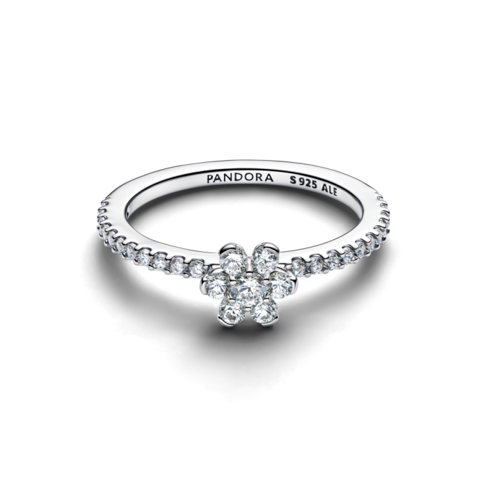 Anillo Pandora YJ697, segunda vista oficial
