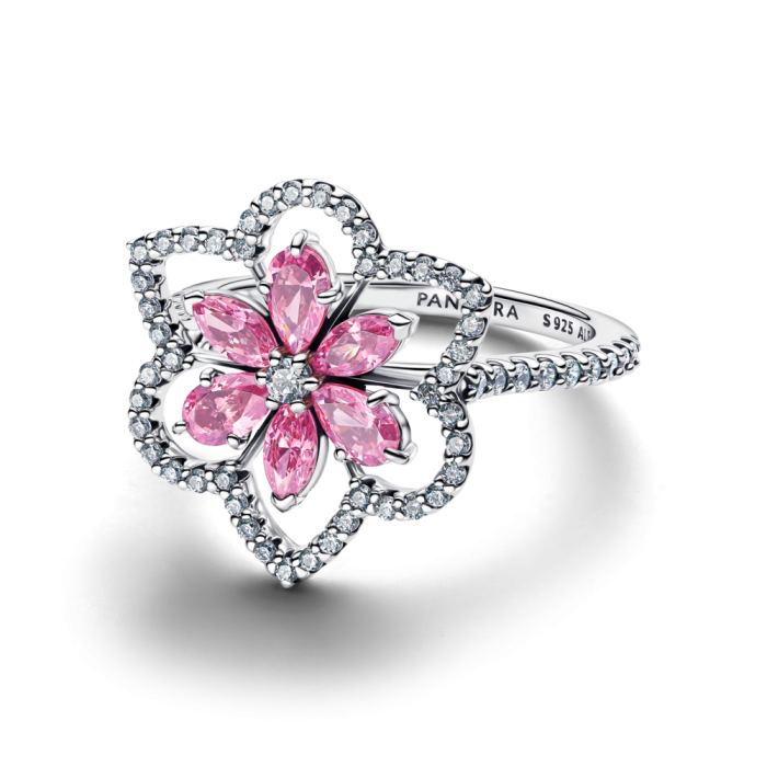 Anillo Pandora YJ698, segunda vista oficial