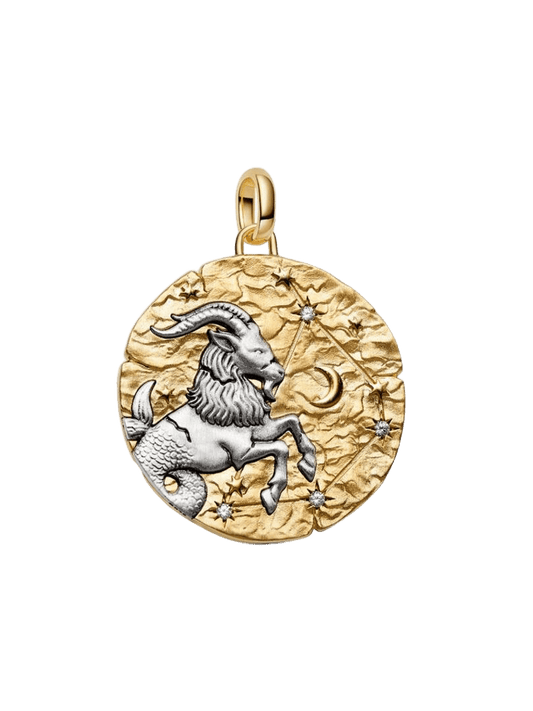 Charm Medallón XL Zodiaco Capricornio