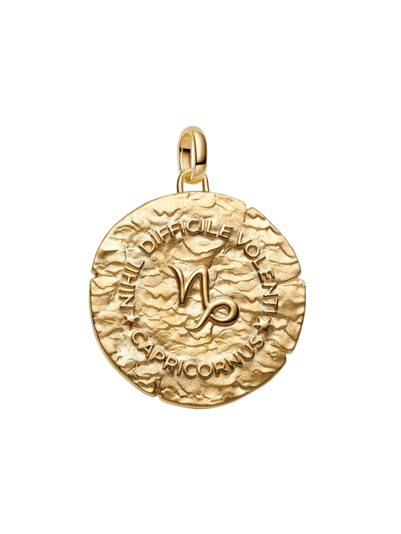 Charm Medallón XL Zodiaco Capricornio