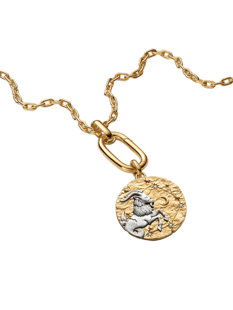 Charm Medallón XL Zodiaco Capricornio