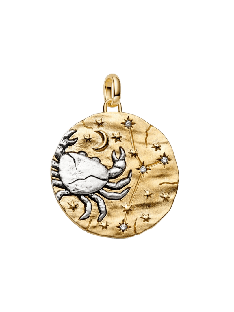Charm Medallón Grande Zodiaco Cáncer