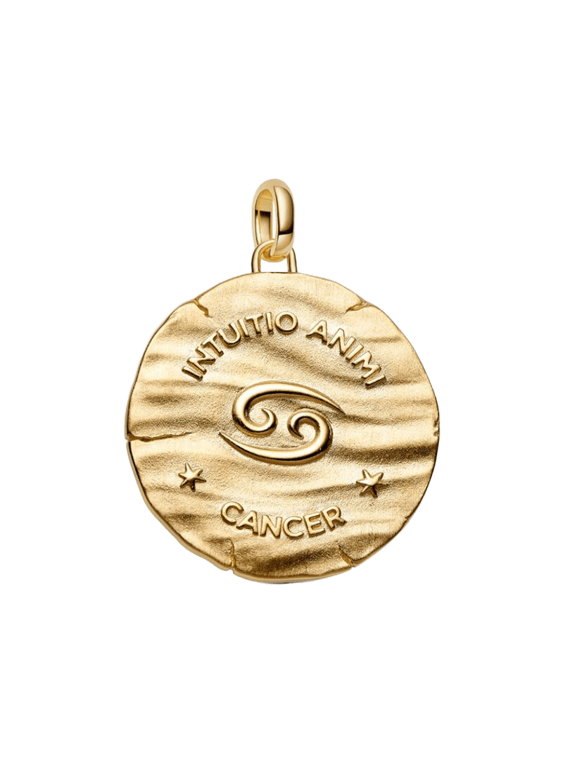 Charm Medallón Grande Zodiaco Cáncer