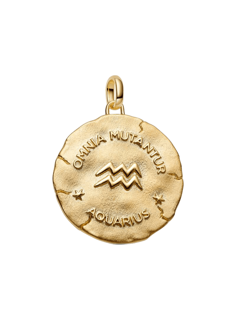 Charm Medallón XL Zodiaco Acuario