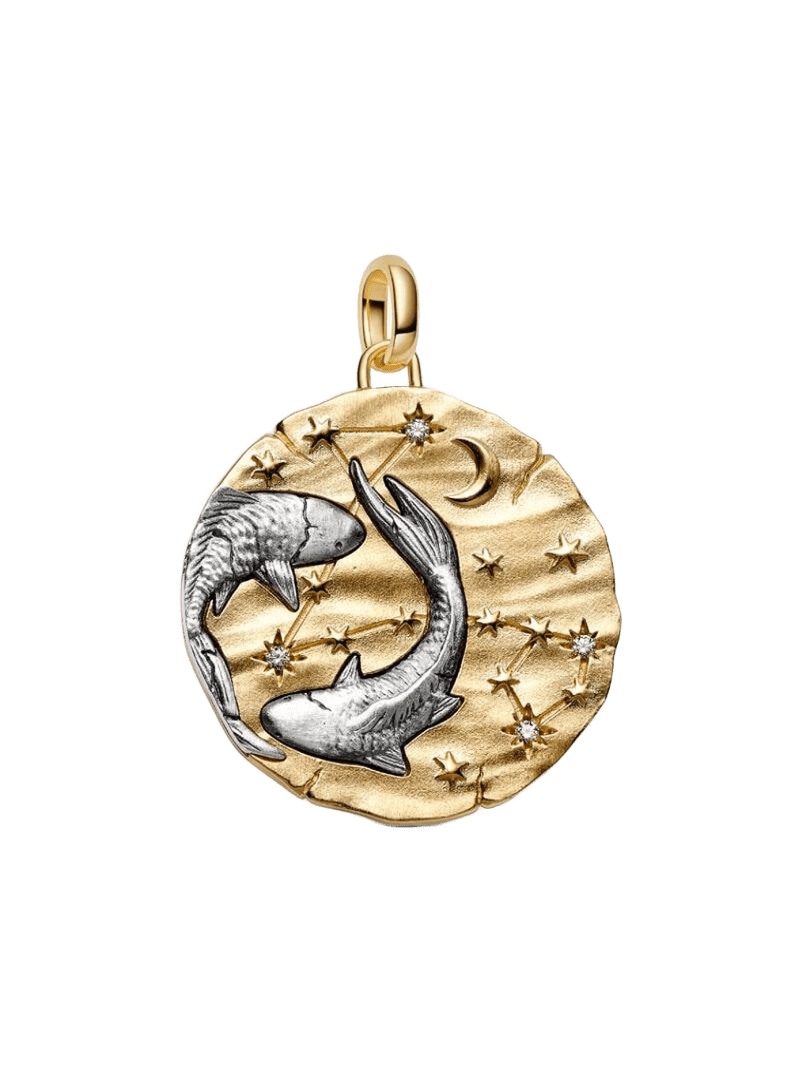 Charm Medallón XL Zodiaco Piscis