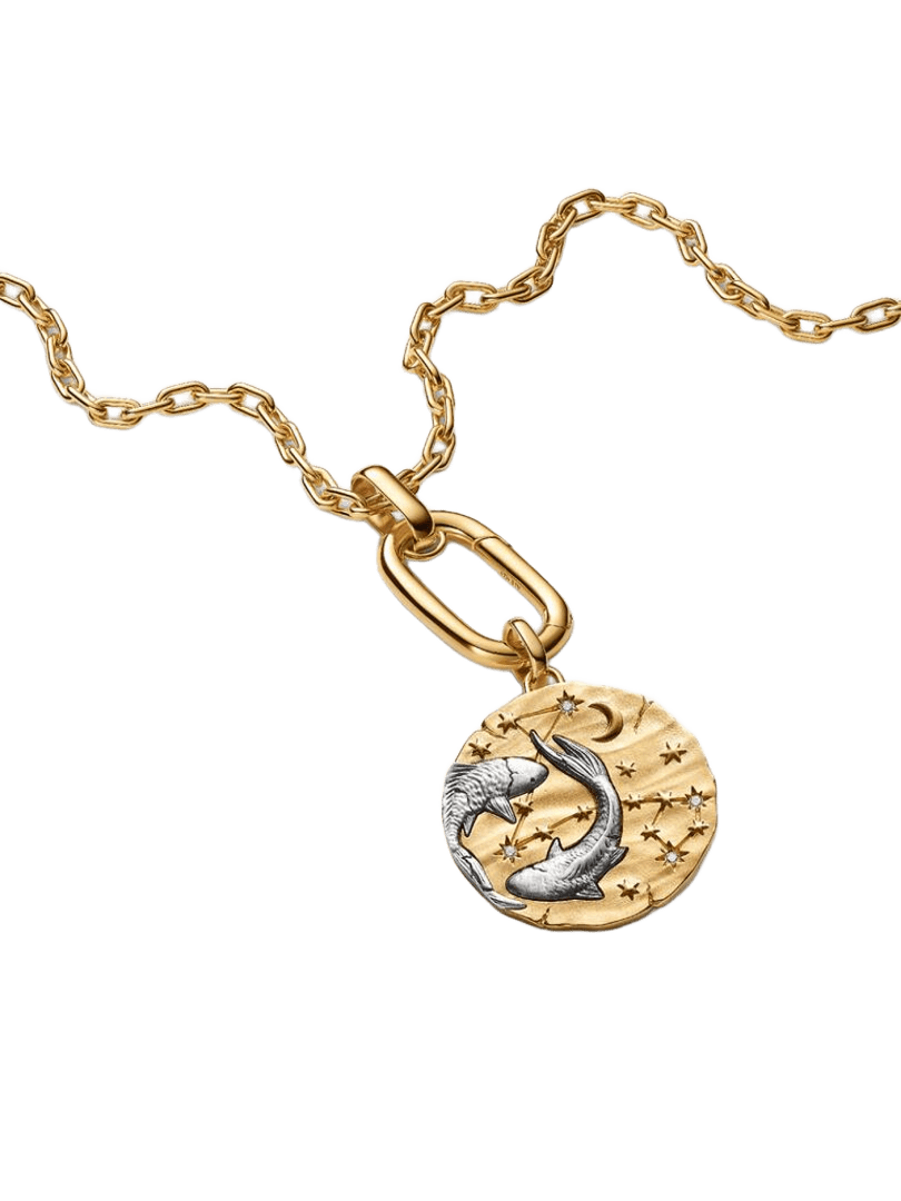 Charm Medallón XL Zodiaco Piscis