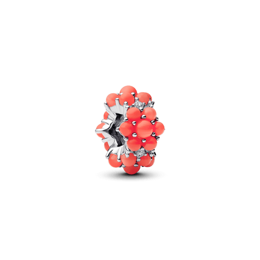 Charm Océano de Color Coral