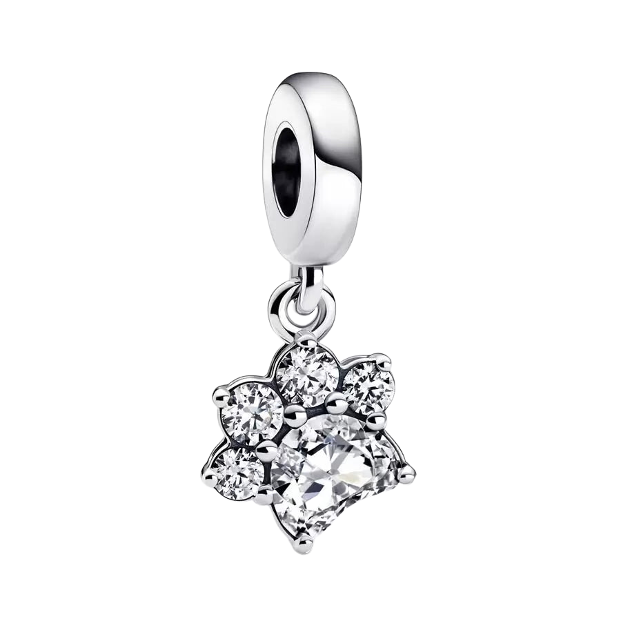 Charm Colgante Huella de Mascota Brillante