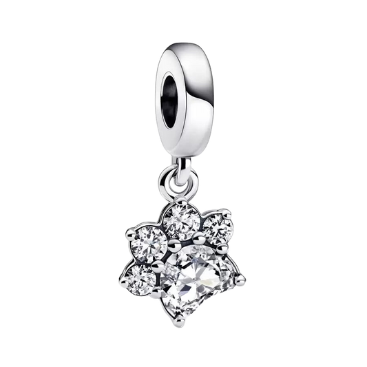 Charm Colgante Huella de Mascota Brillante