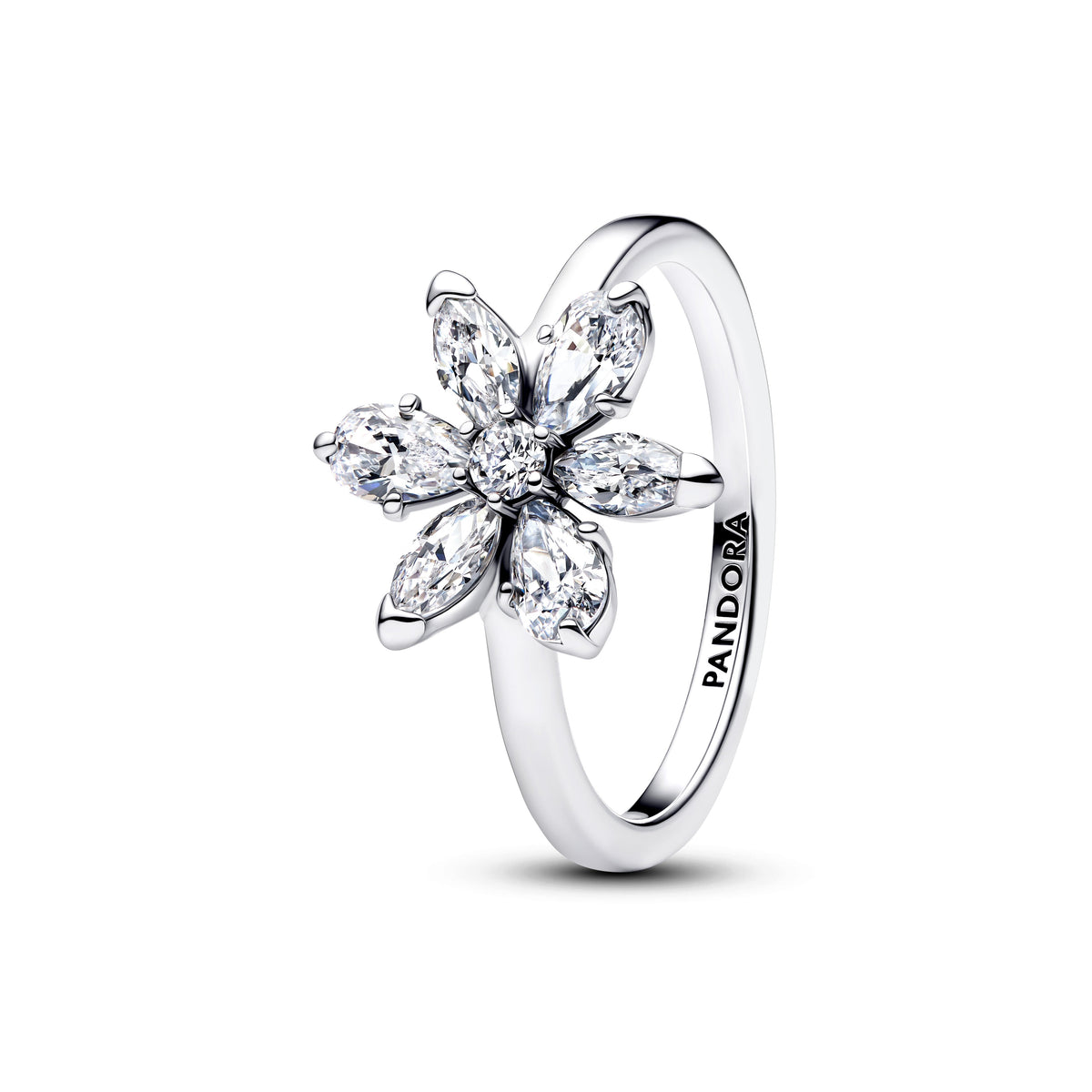 Anillo Ramillete Herbarium